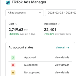 TikTok Ads Mastery Course